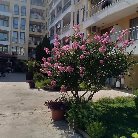 роял дриймс Sunny Beach