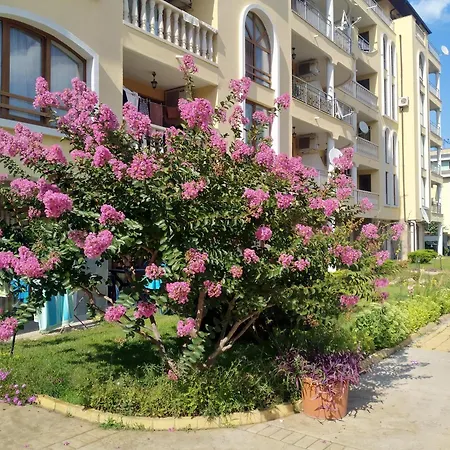 роял дриймс Apartment