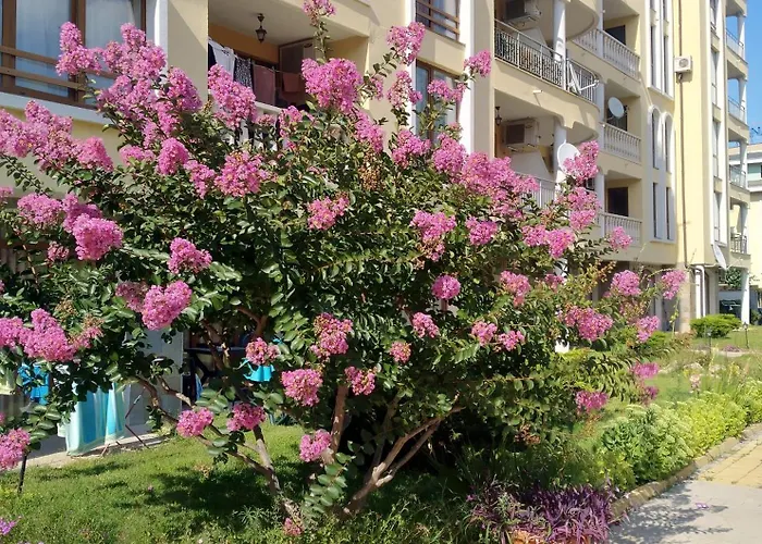 роял дриймс Apartament